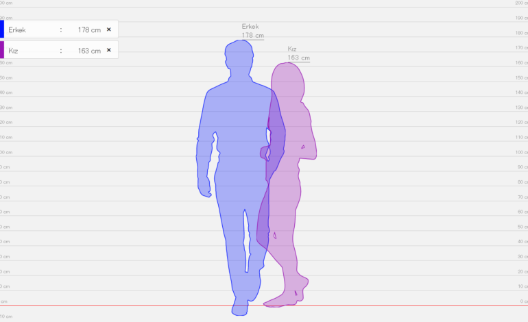  The Site Hikaku Sitatter, Which Shows How You Stand Side by Side with People of Different Heights